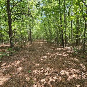 Photo #41 of James Anderson Highway, Gladstone, VA 100.0 acres