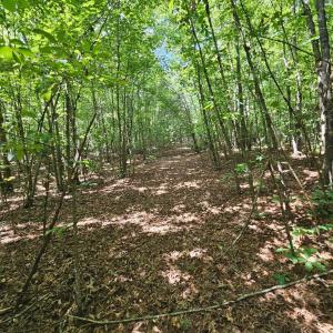 Photo #42 of James Anderson Highway, Gladstone, VA 100.0 acres