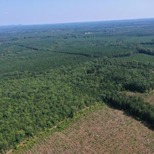 Photo #63 of James Anderson Highway, Gladstone, VA 100.0 acres