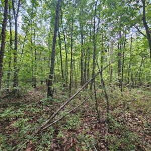 Photo #17 of James Anderson Highway, Gladstone, VA 100.0 acres