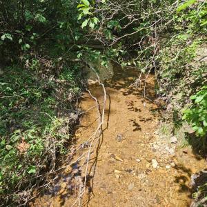 Photo #36 of James Anderson Highway, Gladstone, VA 100.0 acres