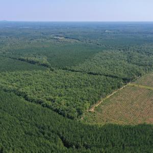 Photo #60 of James Anderson Highway, Gladstone, VA 100.0 acres