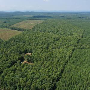 Photo #62 of James Anderson Highway, Gladstone, VA 100.0 acres