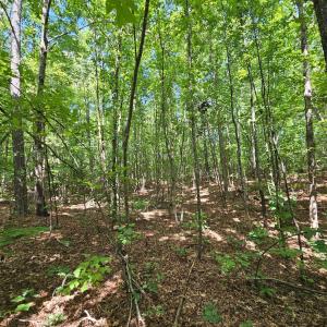 Photo #40 of James Anderson Highway, Gladstone, VA 100.0 acres