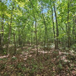 Photo #19 of James Anderson Highway, Gladstone, VA 100.0 acres