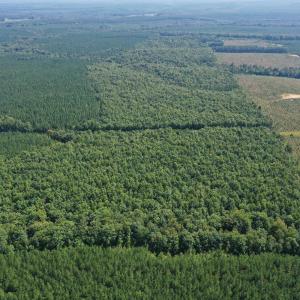 Photo #54 of James Anderson Highway, Gladstone, VA 100.0 acres