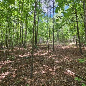 Photo #33 of James Anderson Highway, Gladstone, VA 100.0 acres