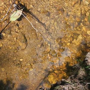 Photo #37 of James Anderson Highway, Gladstone, VA 100.0 acres