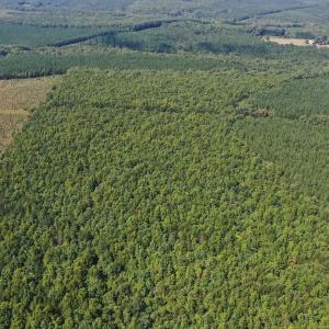 Photo #65 of James Anderson Highway, Gladstone, VA 100.0 acres