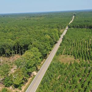 Photo #49 of James Anderson Highway, Gladstone, VA 100.0 acres