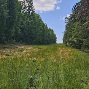 Photo #7 of James Anderson Highway, Gladstone, VA 100.0 acres