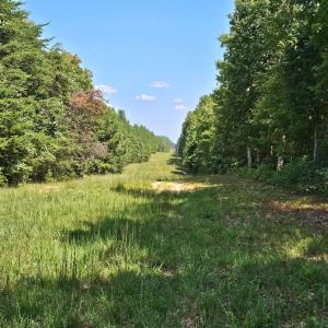 Photo #45 of James Anderson Highway, Gladstone, VA 100.0 acres