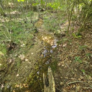 Photo #28 of James Anderson Highway, Gladstone, VA 100.0 acres