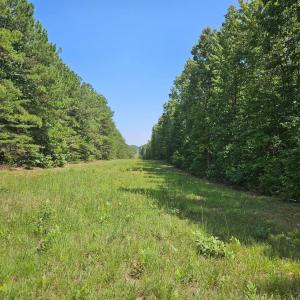 Photo #2 of James Anderson Highway, Gladstone, VA 100.0 acres