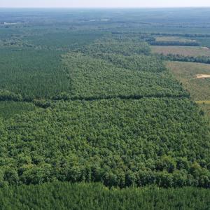 Photo #48 of James Anderson Highway, Gladstone, VA 100.0 acres