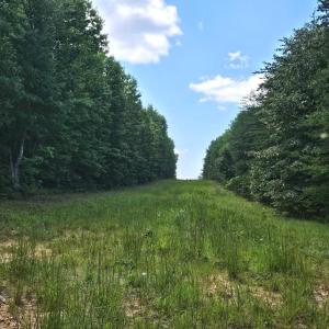 Photo #8 of James Anderson Highway, Gladstone, VA 100.0 acres