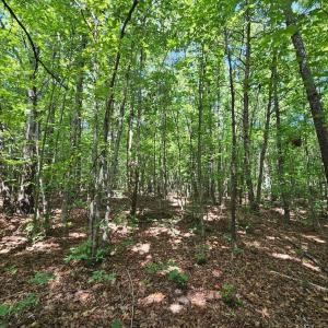 Photo #39 of James Anderson Highway, Gladstone, VA 100.0 acres