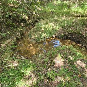 Photo #29 of James Anderson Highway, Gladstone, VA 100.0 acres