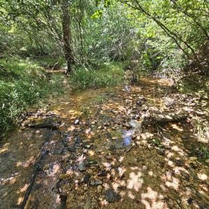 Photo #26 of James Anderson Highway, Gladstone, VA 100.0 acres