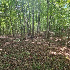 Photo #30 of James Anderson Highway, Gladstone, VA 100.0 acres