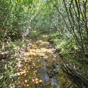 Photo #25 of James Anderson Highway, Gladstone, VA 100.0 acres