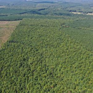 Photo #69 of James Anderson Highway, Gladstone, VA 100.0 acres