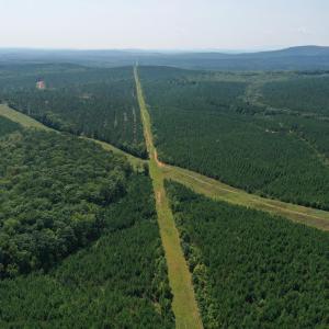 Photo #50 of James Anderson Highway, Gladstone, VA 100.0 acres