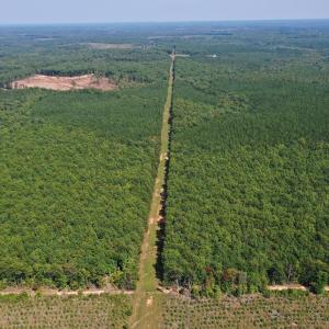 Photo #59 of James Anderson Highway, Gladstone, VA 100.0 acres