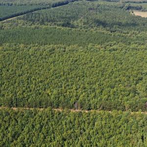 Photo #61 of James Anderson Highway, Gladstone, VA 100.0 acres