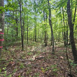 Photo #18 of James Anderson Highway, Gladstone, VA 100.0 acres