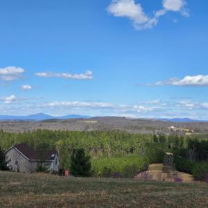Photo #8 of Skyline Road, Appomattox, VA 3.4 acres