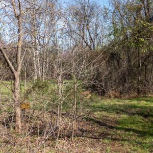 Photo #4 of Goggin Ford Road, Bedford, VA 23.9 acres