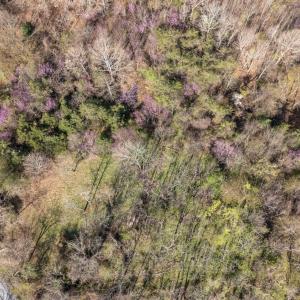 Photo #18 of Goggin Ford Road, Bedford, VA 23.9 acres