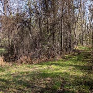 Photo #6 of Goggin Ford Road, Bedford, VA 23.9 acres