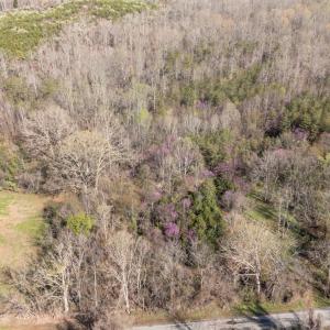 Photo #2 of Goggin Ford Road, Bedford, VA 23.9 acres