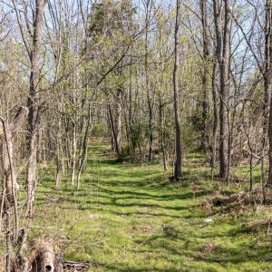 Photo #14 of Goggin Ford Road, Bedford, VA 23.9 acres