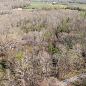 Photo #12 of Goggin Ford Road, Bedford, VA 23.9 acres