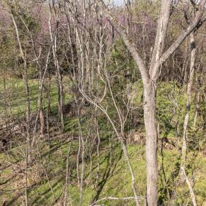 Photo #17 of Goggin Ford Road, Bedford, VA 23.9 acres