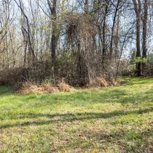 Photo #9 of Goggin Ford Road, Bedford, VA 23.9 acres