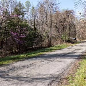 Photo #21 of Goggin Ford Road, Bedford, VA 23.9 acres
