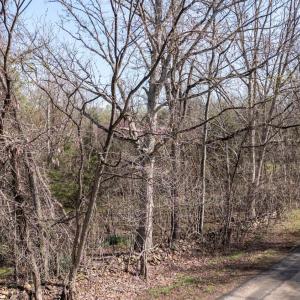 Photo #10 of Goggin Ford Road, Bedford, VA 23.9 acres