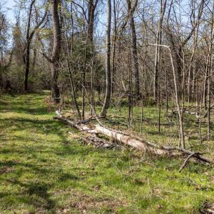 Photo #16 of Goggin Ford Road, Bedford, VA 23.9 acres
