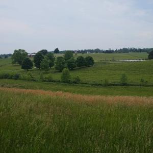 Photo #4 of 2205 New London Road, Forest, VA 360.0 acres