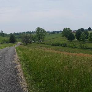 Photo #3 of 2205 New London Road, Forest, VA 360.0 acres