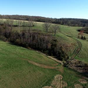 Photo #7 of 2205 New London Road, Forest, VA 360.0 acres