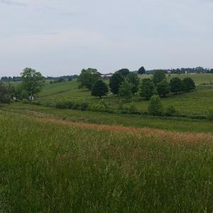 Photo #14 of 2205 New London Road, Forest, VA 360.0 acres