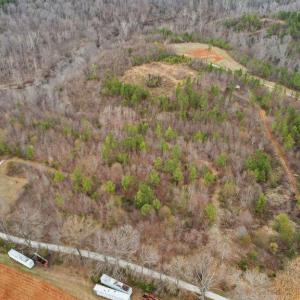 Photo #8 of Rocky Creek Ln Lot 12, Amherst, VA 10.3 acres
