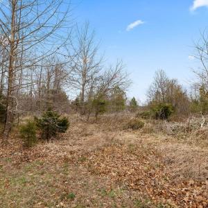 Photo #14 of Rocky Creek Ln Lot 12, Amherst, VA 10.3 acres