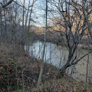 Photo #20 of Rocky Creek Ln Lot 12, Amherst, VA 10.3 acres