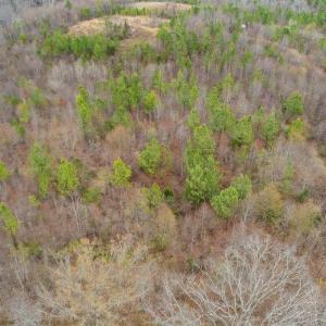Photo #4 of Rocky Creek Ln Lot 12, Amherst, VA 10.3 acres